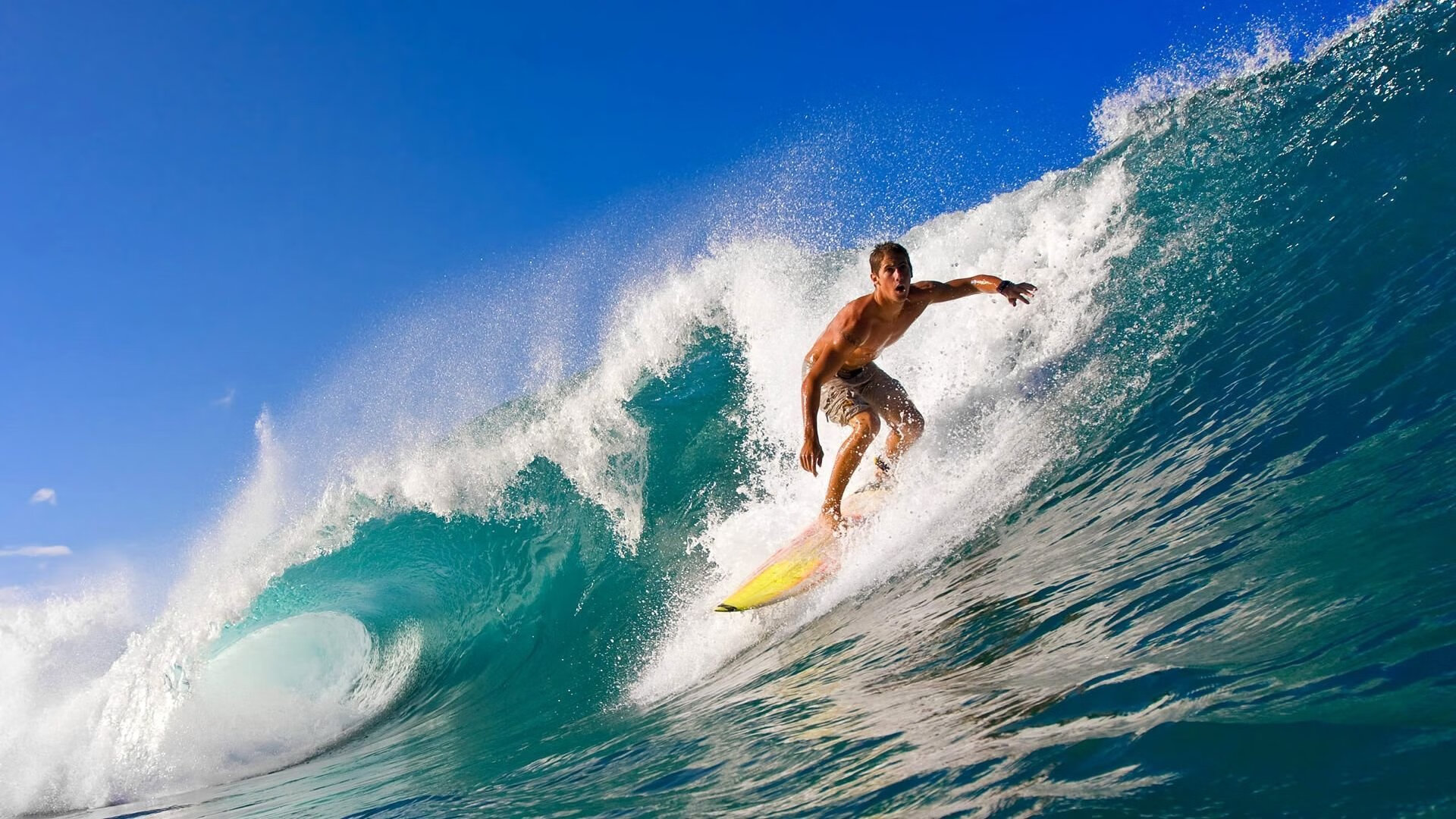 开云官网在线-法甲俱乐部跨国青训合作与人才流动模式，法甲青训排名